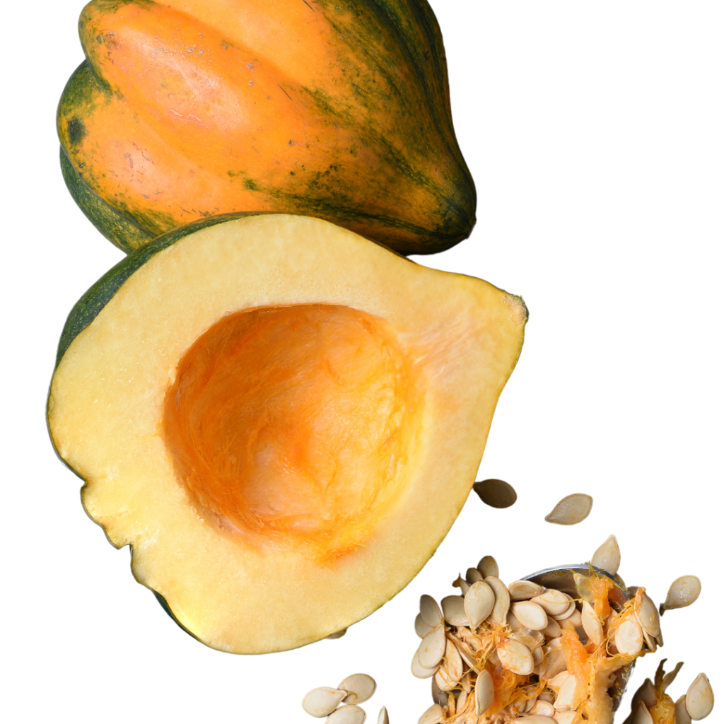 acorn squash and seeds